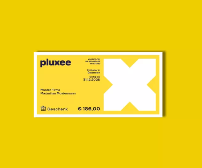Grafik xMas Gutschein Pluxee